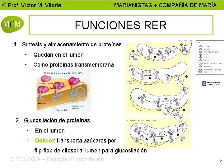 © Prof. Víctor M. Vitoria MARIANISTAS + COMPAÑÍA DE MARÍA FUNCIONES RER 1. Síntesis