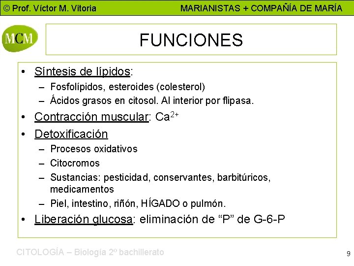 © Prof. Víctor M. Vitoria MARIANISTAS + COMPAÑÍA DE MARÍA FUNCIONES • Síntesis de