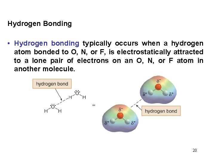 Hydrogen Bonding • Hydrogen bonding typically occurs when a hydrogen atom bonded to O,