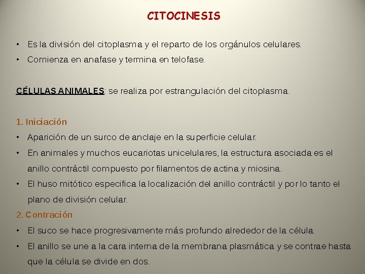 CITOCINESIS • Es la división del citoplasma y el reparto de los orgánulos celulares.