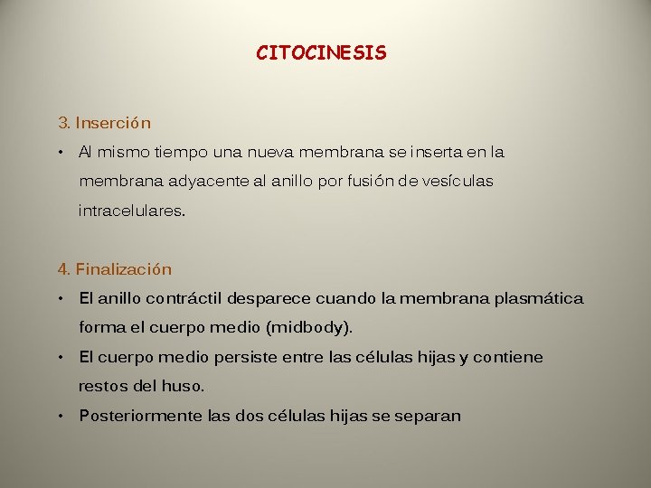 CITOCINESIS 3. Inserción • Al mismo tiempo una nueva membrana se inserta en la