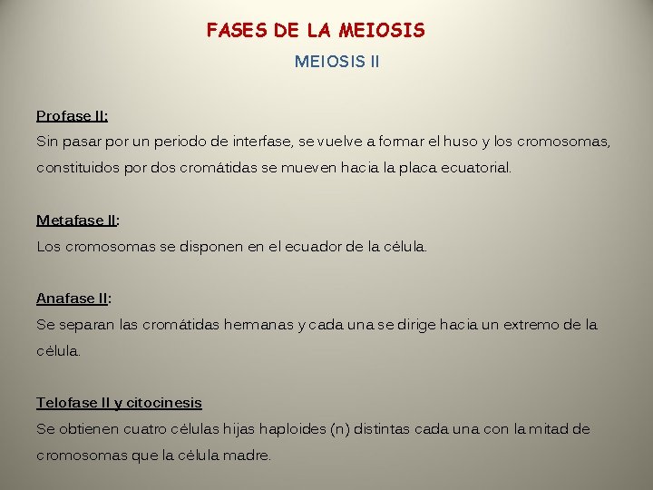 FASES DE LA MEIOSIS II Profase II: Sin pasar por un periodo de interfase,