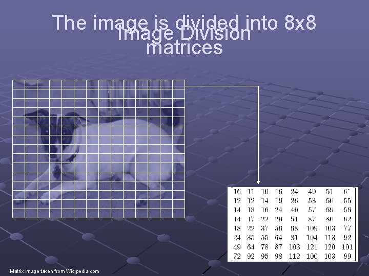 The image is divided into 8 x 8 Image Division matrices Matrix image taken
