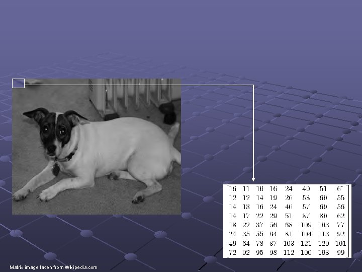 Matrix image taken from Wikipedia. com 