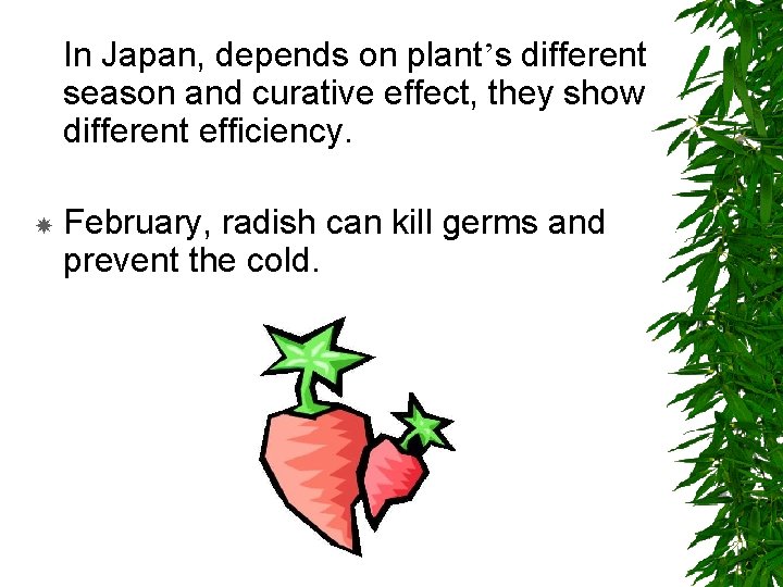 In Japan, depends on plant’s different season and curative effect, they show different efficiency.