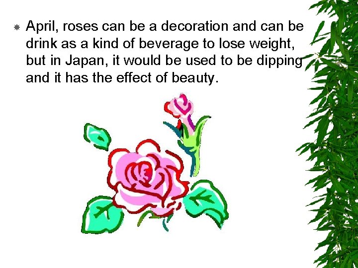  April, roses can be a decoration and can be drink as a kind