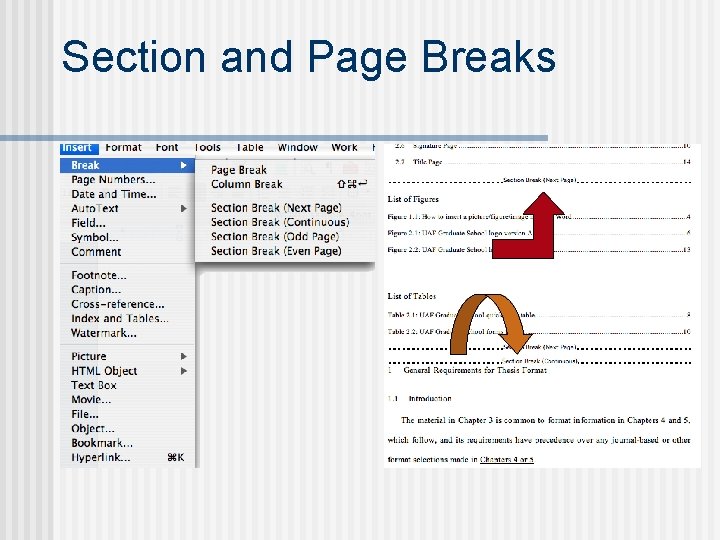 Section and Page Breaks 