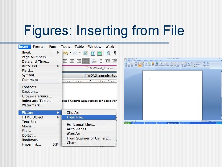 Figures: Inserting from File 