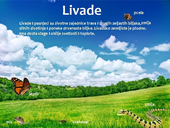 Livade pcela Livade I pasnjaci su zivotne zajednice trava I drugih zeljastih biljaka, zmija