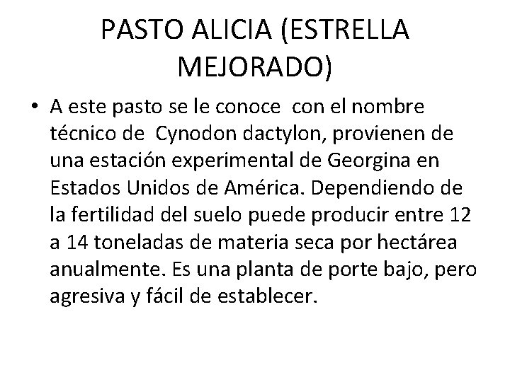 PASTO ALICIA (ESTRELLA MEJORADO) • A este pasto se le conoce con el nombre PASTO ALICIA (ESTRELLA MEJORADO) • A este pasto se le conoce con el nombre