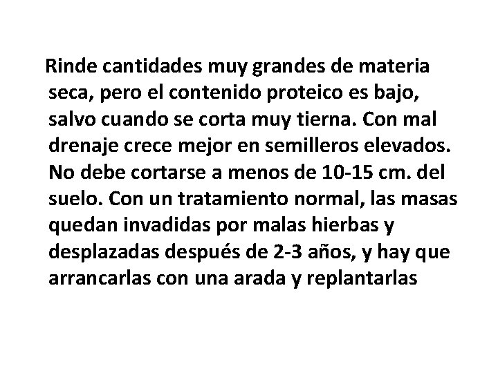 Rinde cantidades muy grandes de materia seca, pero el contenido proteico es bajo, salvo Rinde cantidades muy grandes de materia seca, pero el contenido proteico es bajo, salvo