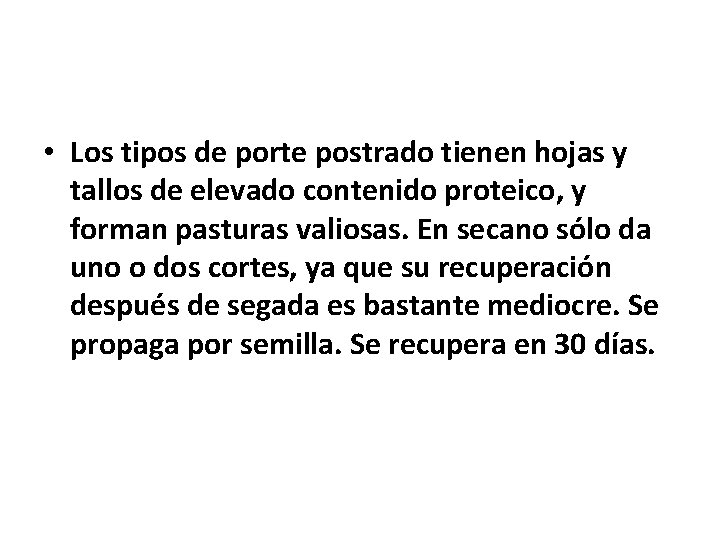 • Los tipos de porte postrado tienen hojas y tallos de elevado contenido • Los tipos de porte postrado tienen hojas y tallos de elevado contenido