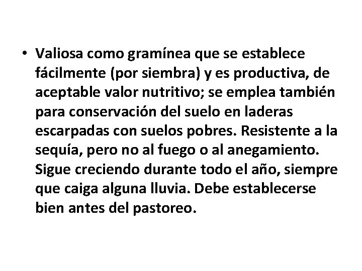 • Valiosa como gramínea que se establece fácilmente (por siembra) y es productiva, • Valiosa como gramínea que se establece fácilmente (por siembra) y es productiva,