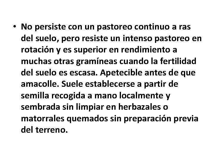 • No persiste con un pastoreo continuo a ras del suelo, pero resiste • No persiste con un pastoreo continuo a ras del suelo, pero resiste