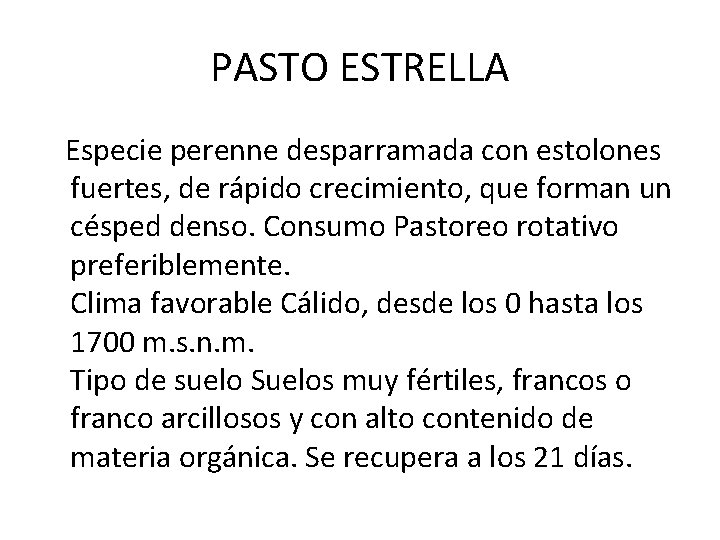 PASTO ESTRELLA Especie perenne desparramada con estolones fuertes, de rápido crecimiento, que forman un PASTO ESTRELLA Especie perenne desparramada con estolones fuertes, de rápido crecimiento, que forman un