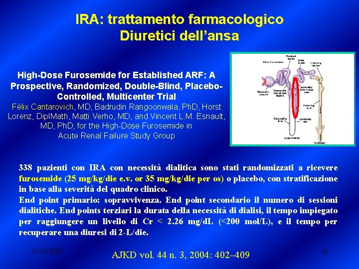 IRA: trattamento farmacologico Diuretici dell’ansa High-Dose Furosemide for Established ARF: A Prospective, Randomized, Double-Blind, IRA: trattamento farmacologico Diuretici dell’ansa High-Dose Furosemide for Established ARF: A Prospective, Randomized, Double-Blind,