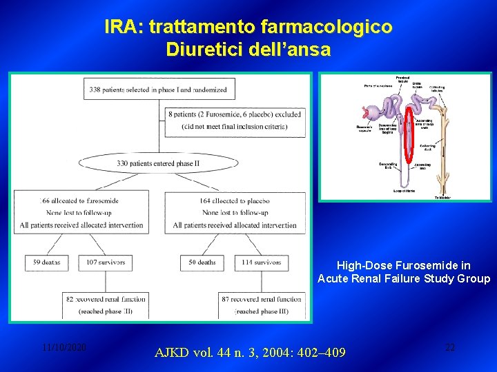 IRA: trattamento farmacologico Diuretici dell’ansa High-Dose Furosemide in Acute Renal Failure Study Group 11/10/2020 IRA: trattamento farmacologico Diuretici dell’ansa High-Dose Furosemide in Acute Renal Failure Study Group 11/10/2020