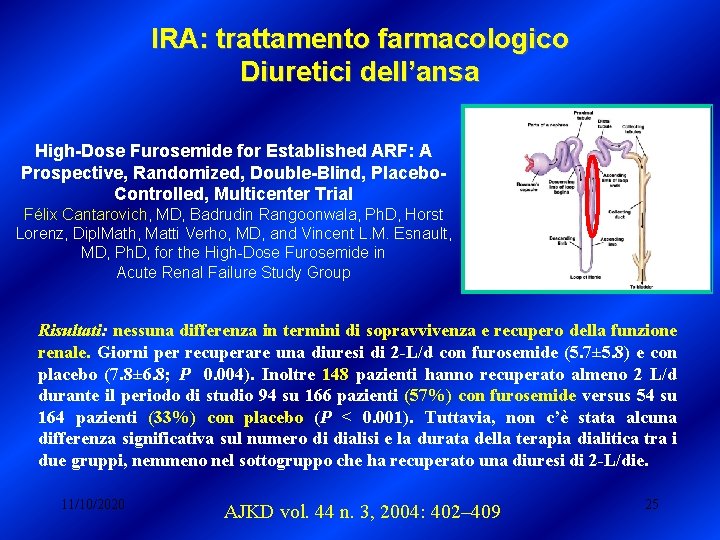 IRA: trattamento farmacologico Diuretici dell’ansa High-Dose Furosemide for Established ARF: A Prospective, Randomized, Double-Blind, IRA: trattamento farmacologico Diuretici dell’ansa High-Dose Furosemide for Established ARF: A Prospective, Randomized, Double-Blind,