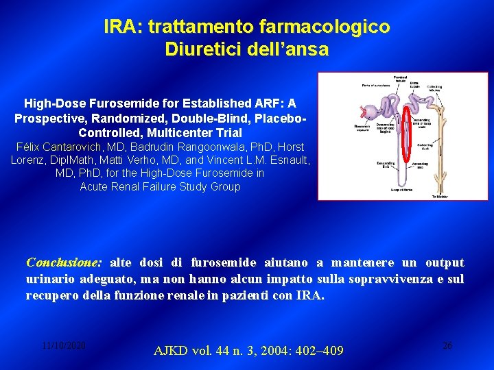 IRA: trattamento farmacologico Diuretici dell’ansa High-Dose Furosemide for Established ARF: A Prospective, Randomized, Double-Blind, IRA: trattamento farmacologico Diuretici dell’ansa High-Dose Furosemide for Established ARF: A Prospective, Randomized, Double-Blind,