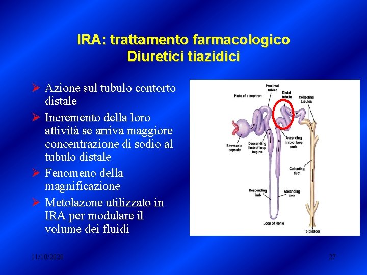 IRA: trattamento farmacologico Diuretici tiazidici Ø Azione sul tubulo contorto distale Ø Incremento della IRA: trattamento farmacologico Diuretici tiazidici Ø Azione sul tubulo contorto distale Ø Incremento della