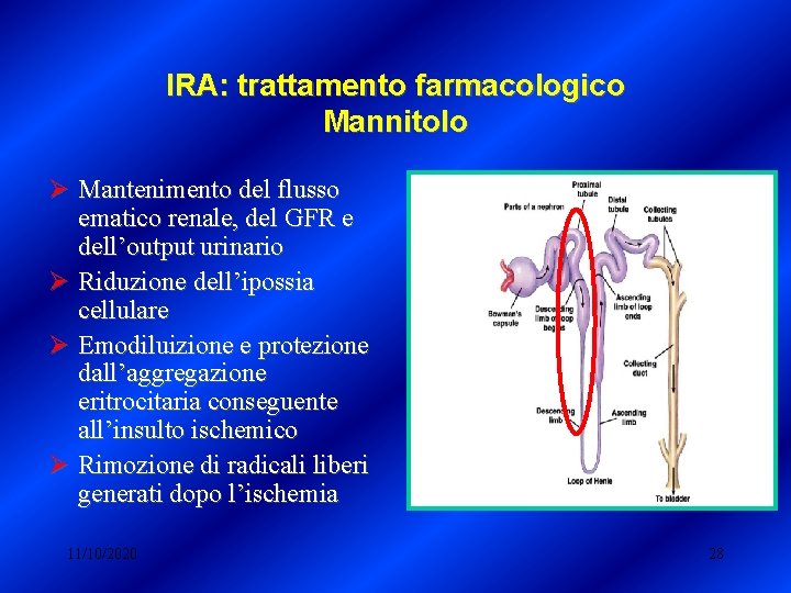 IRA: trattamento farmacologico Mannitolo Ø Mantenimento del flusso ematico renale, del GFR e dell’output