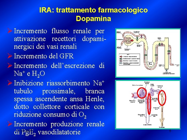 IRA: trattamento farmacologico Dopamina Ø Incremento flusso renale per attivazione recettori dopaminergici dei vasi
