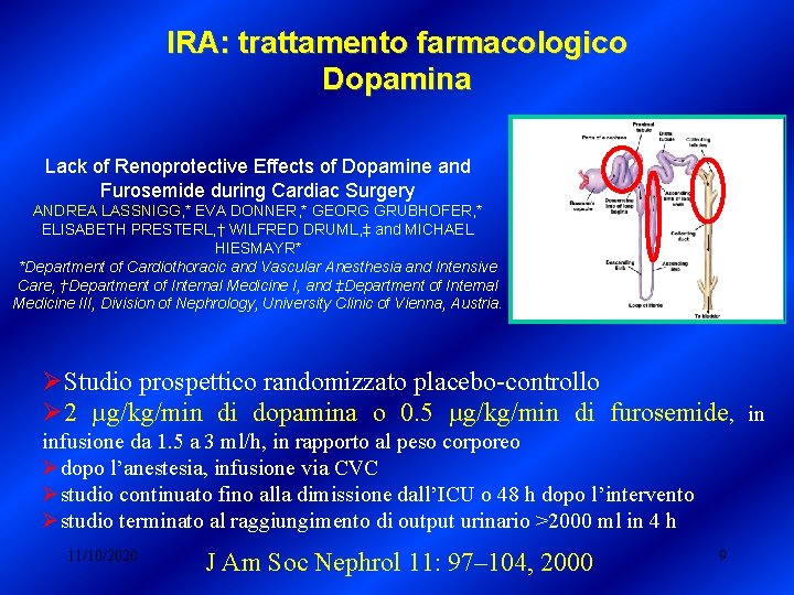 IRA: trattamento farmacologico Dopamina Lack of Renoprotective Effects of Dopamine and Furosemide during Cardiac