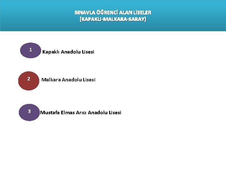 SINAVLA ÖĞRENCİ ALAN LİSELER (KAPAKLI-MALKARA-SARAY) 1 Kapaklı Anadolu Lisesi 2 Malkara Anadolu Lisesi Liseleri