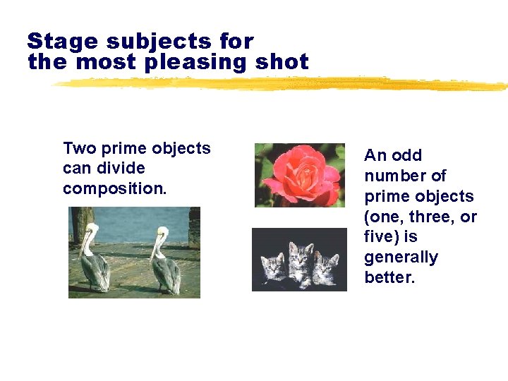 Stage subjects for the most pleasing shot Two prime objects can divide composition. An