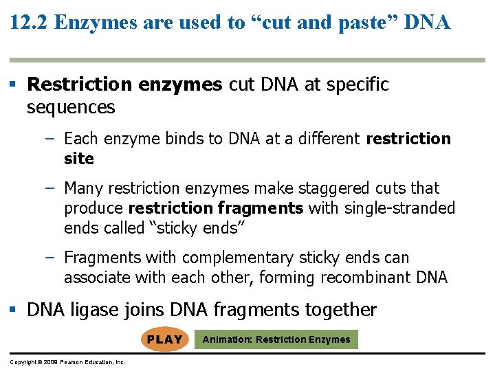 12. 2 Enzymes are used to “cut and paste” DNA § Restriction enzymes cut 12. 2 Enzymes are used to “cut and paste” DNA § Restriction enzymes cut
