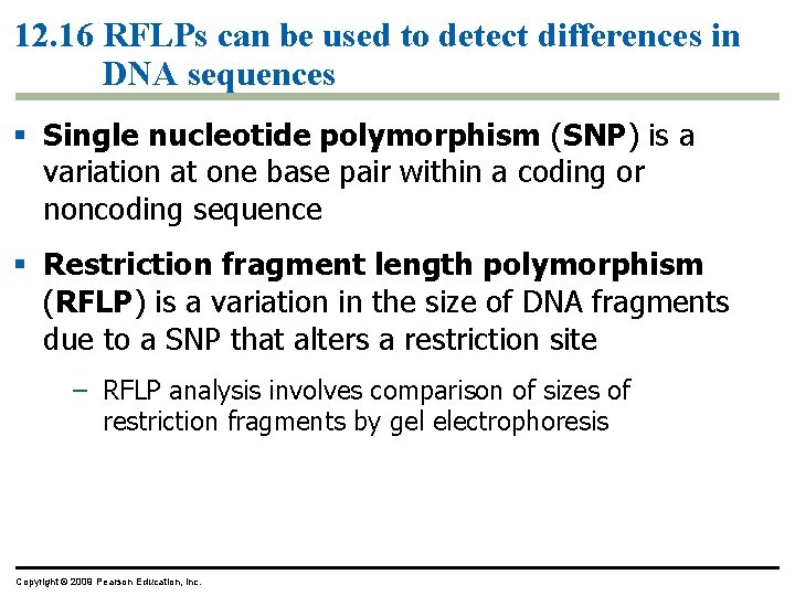 12. 16 RFLPs can be used to detect differences in DNA sequences § Single 12. 16 RFLPs can be used to detect differences in DNA sequences § Single
