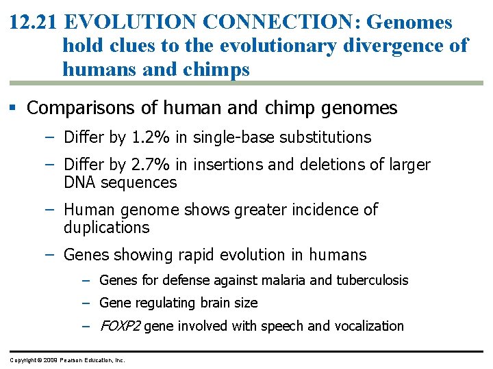 12. 21 EVOLUTION CONNECTION: Genomes hold clues to the evolutionary divergence of humans and 12. 21 EVOLUTION CONNECTION: Genomes hold clues to the evolutionary divergence of humans and