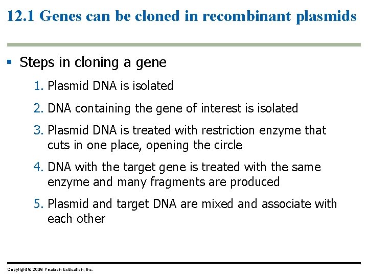 12. 1 Genes can be cloned in recombinant plasmids § Steps in cloning a 12. 1 Genes can be cloned in recombinant plasmids § Steps in cloning a