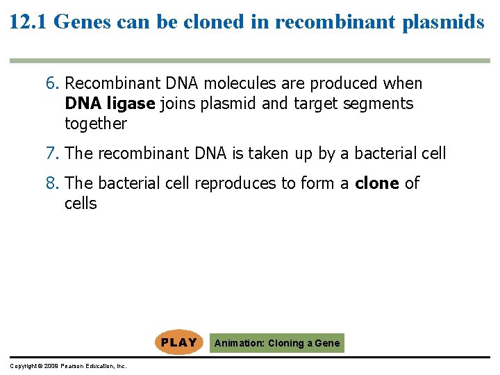 12. 1 Genes can be cloned in recombinant plasmids 6. Recombinant DNA molecules are 12. 1 Genes can be cloned in recombinant plasmids 6. Recombinant DNA molecules are