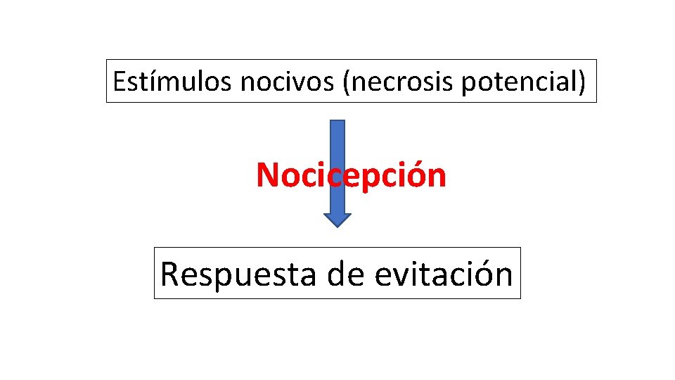 Estímulos nocivos (necrosis potencial) Nocicepción Respuesta de evitación 