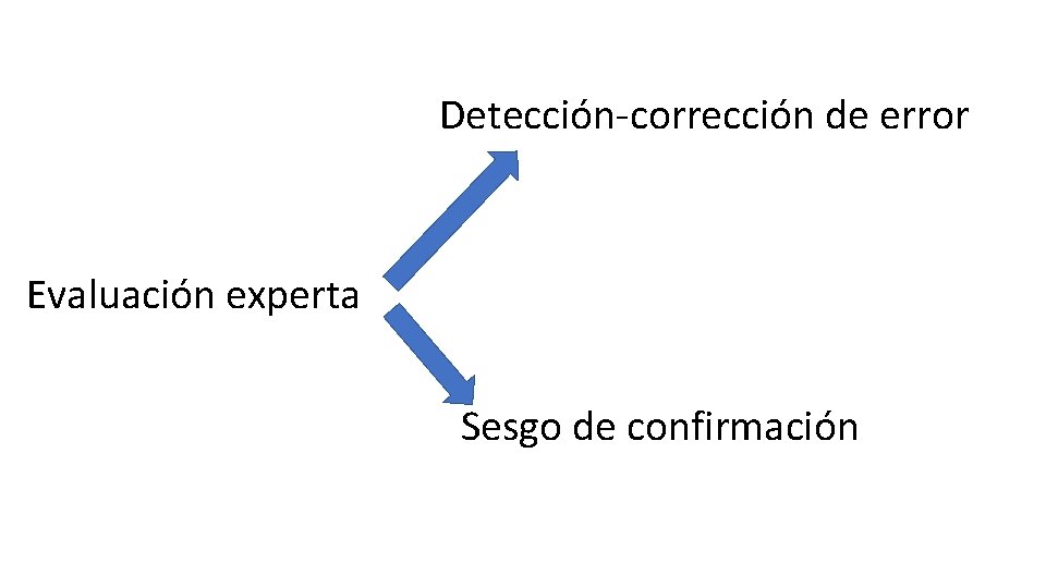 Detección-corrección de error Evaluación experta Sesgo de confirmación 