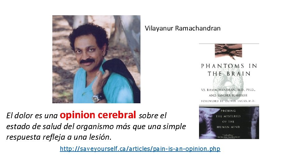 Vilayanur Ramachandran El dolor es una opinion cerebral sobre el estado de salud del