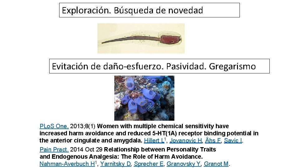 Exploración. Búsqueda de novedad Evitación de daño-esfuerzo. Pasividad. Gregarismo PLo. S One. 2013; 8(1)