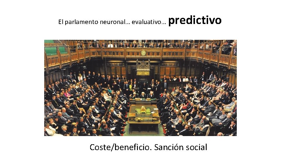 El parlamento neuronal… evaluativo… predictivo Coste/beneficio. Sanción social 