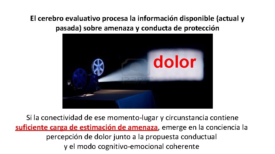 El cerebro evaluativo procesa la información disponible (actual y pasada) sobre amenaza y conducta