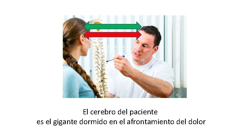 El cerebro del paciente es el gigante dormido en el afrontamiento del dolor 