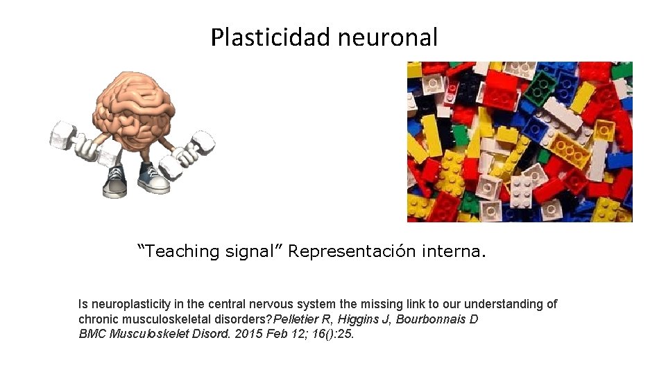 Plasticidad neuronal “Teaching signal” Representación interna. Is neuroplasticity in the central nervous system the