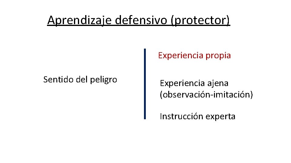 Aprendizaje defensivo (protector) Experiencia propia Sentido del peligro Experiencia ajena (observación-imitación) Instrucción experta 