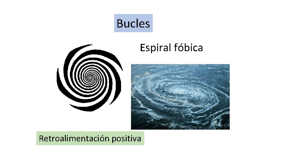 Bucles Espiral fóbica Retroalimentación positiva 