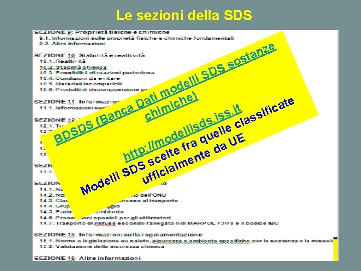 Le sezioni della SDS t s o S s e z an D S