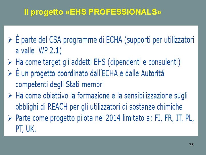Il progetto «EHS PROFESSIONALS» 76 