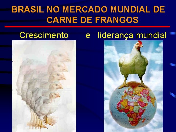 BRASIL NO MERCADO MUNDIAL DE CARNE DE FRANGOS Crescimento e liderança mundial 