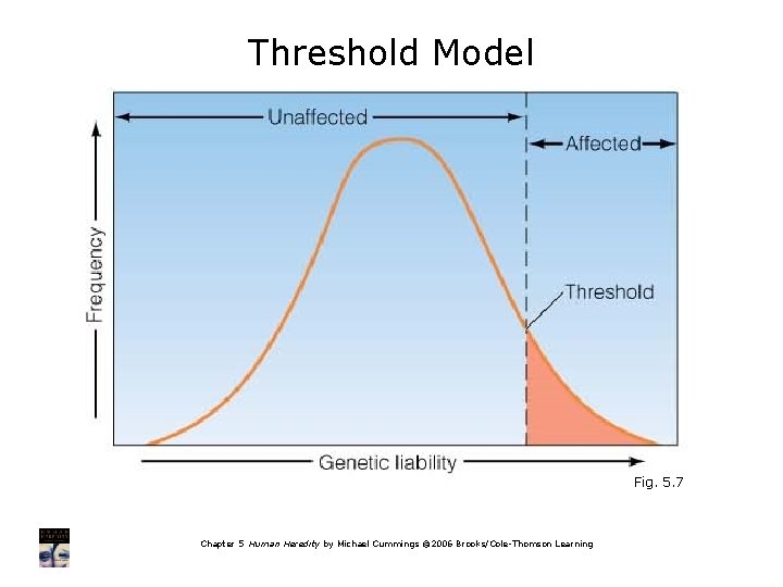 Threshold Model Fig. 5. 7 Chapter 5 Human Heredity by Michael Cummings © 2006