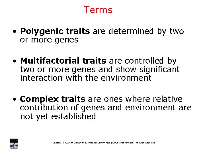 Terms • Polygenic traits are determined by two or more genes • Multifactorial traits