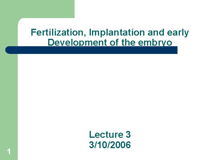 Fertilization, Implantation and early Development of the embryo 1 Lecture 3 3/10/2006 